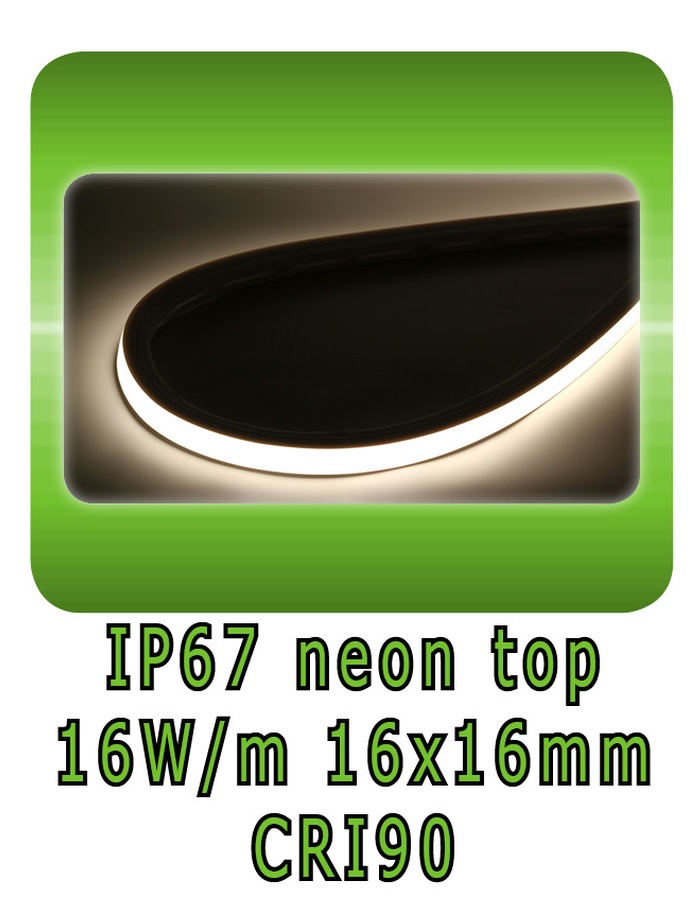 Neon strip top view 16x16mm 16W/m IP67