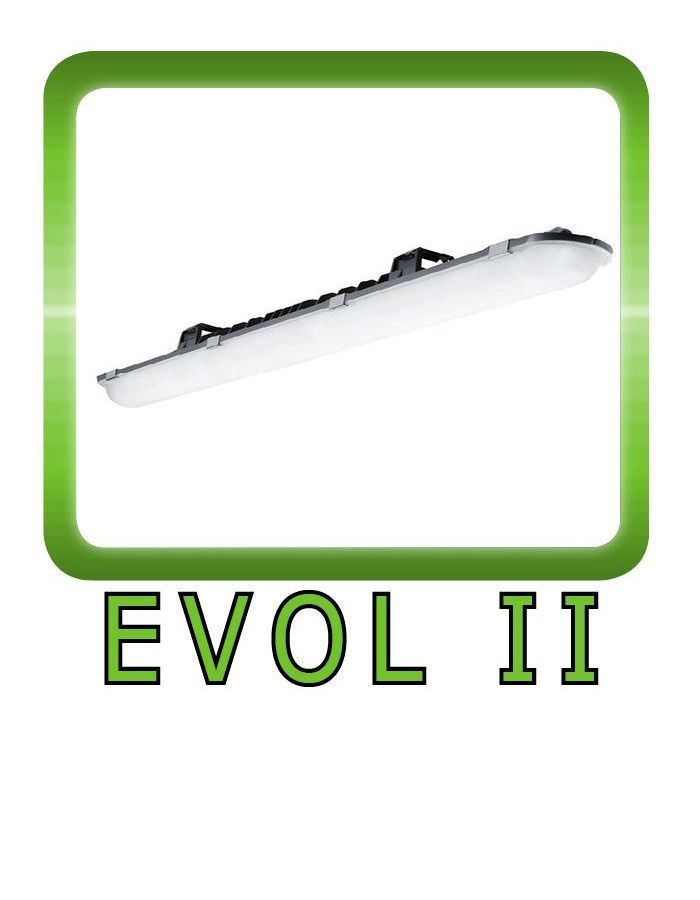 Evol II