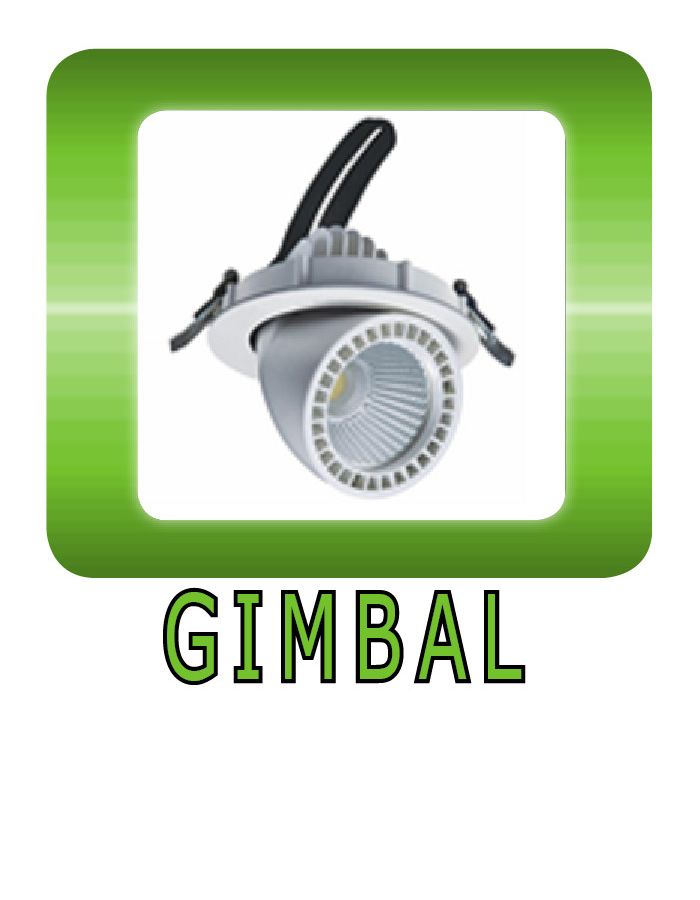 Gimbal