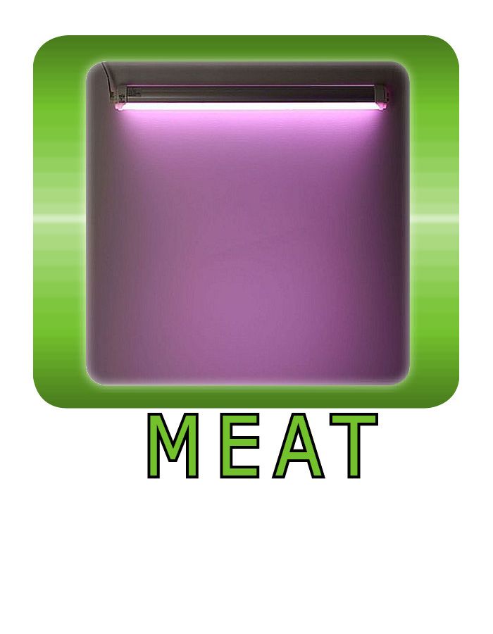 Meat