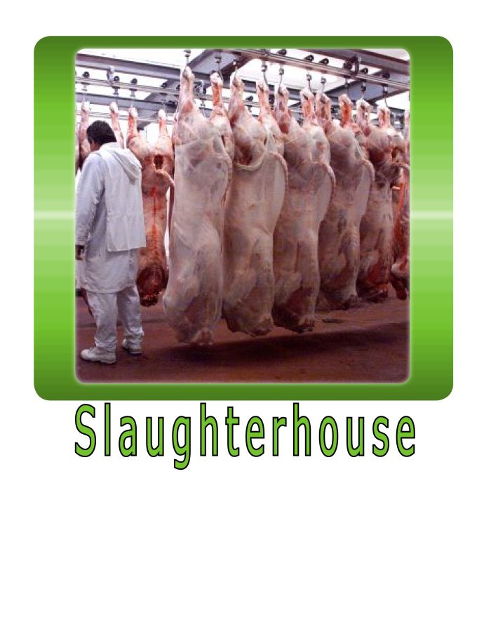 Slaughterhouse