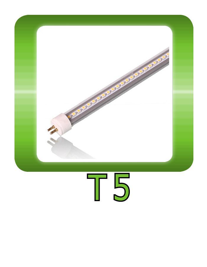 T5