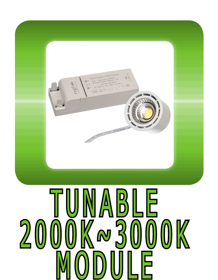 Tunable Module MR16/GU10