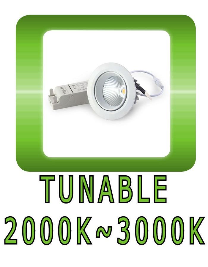 Tunable downlight