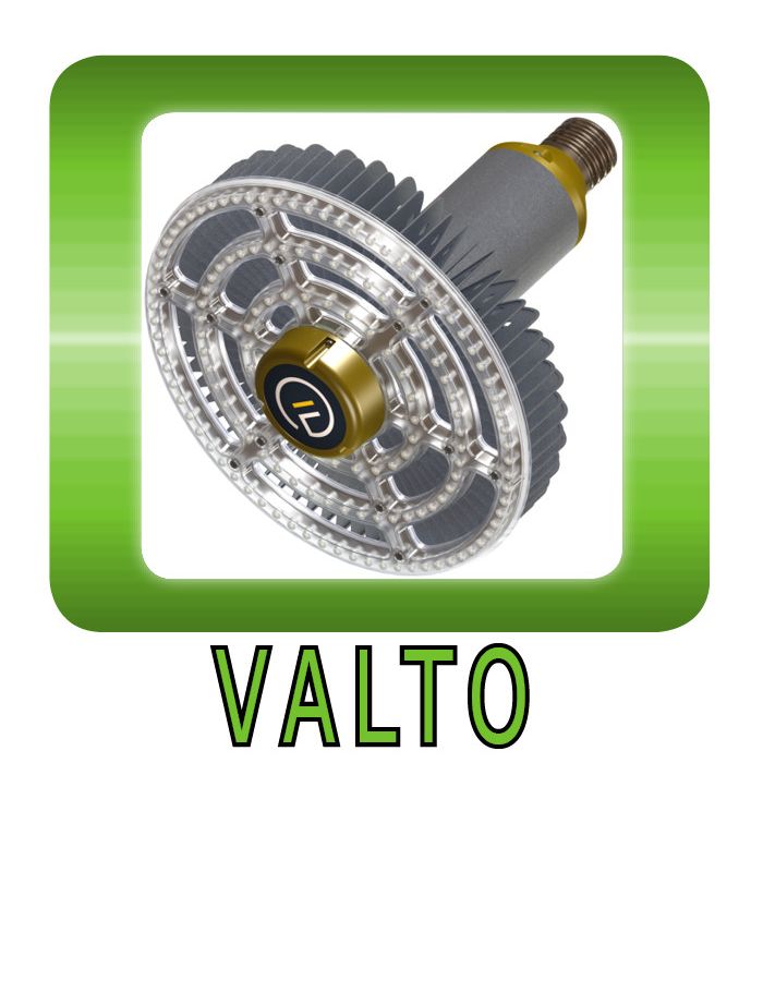 Valto