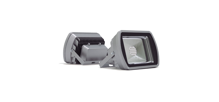 Professional floodlight